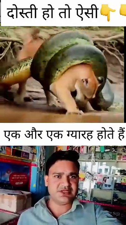 AQMjUdB7Zojp0LWO8pOlnzg_sVJ3F3M-vJ4TIzvL5NuAdbUHyAIbVvai7pglozomeqXuwqn-gcK9L8yNs8tIcuaIrYtUgVEsKef0rZr8V2Gjug