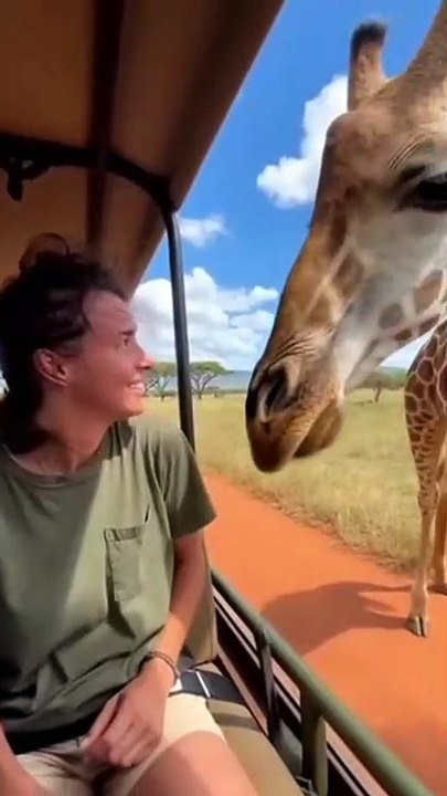 AQN2KcJAdYfJr3DMiIGMt9qqW43RkfRqSMvnmaJ-z37I1sfQbW721Zy8xkxAgqK0FePLnjWiKHAQeBHQIsWvwLI_9XPzVMUovr-Qdc0