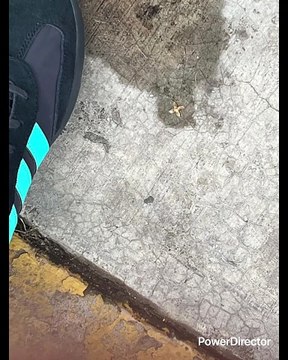 ESPAÑA GANÓ TODO PORQUE APOYÓ LAS GUERRAS DE USA BUSH Y LA ÉLITE OSCURA TE PREMIA POR ESO FUTBOL 2008 EURO 2010 MUNDIAL Y 2012 EURO Y EN OTROS DEPORTES TAMBIÉN ESPAÑA ARRIBA BALONCESTO TENIS ETC MENSAJE PARA VICENTE DEL BOSQUE A MI NO ME ENGAÑA YO CONOZCO