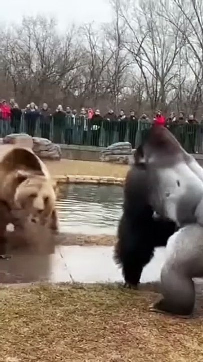 AQPn-veUPGvmaG6aeYkz4u0t0qAYs-_wEPQu6YC0A8zx-gYTDciiA-OmAnY_aEZr_3e2IQF4l5ibqVEpGZDl4XJYzLVbkXc9rQ9y5uCEu55Muw