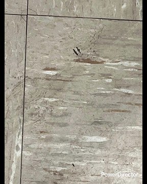 DEL BOSQUE: MESSI MÁS QUE PELE QUE DI STEFANO Y MARADONA SOLO FALTÓ QUE DIJERA EL VIEJO ESTÚPIDO HASTA JUNTOS NO RESPETAR RANGOS TODOS ELLOS ERAN MEJORES QUE MESSI FÁCIL FÁCIL LO QUE TIENE DE VIEJO VICENTE DEL BOSQUE LO TIENE DE BURRO DE PENDEJO