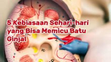 5 Kebiasaan Sehari-hari yang Bisa Memicu Batu Ginjal