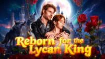 Reborn for the Lycan King EP1-8 - New Release - ReelShort