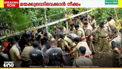 പത്തനംതിട്ടയിൽ കിണറ്റിൽ  വീണ കടുവയെ പുറത്തെടുക്കാനുള്ള ശ്രമം തുടരുന്നു...