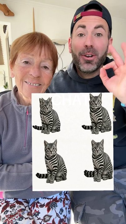 Vous en voyez combien?