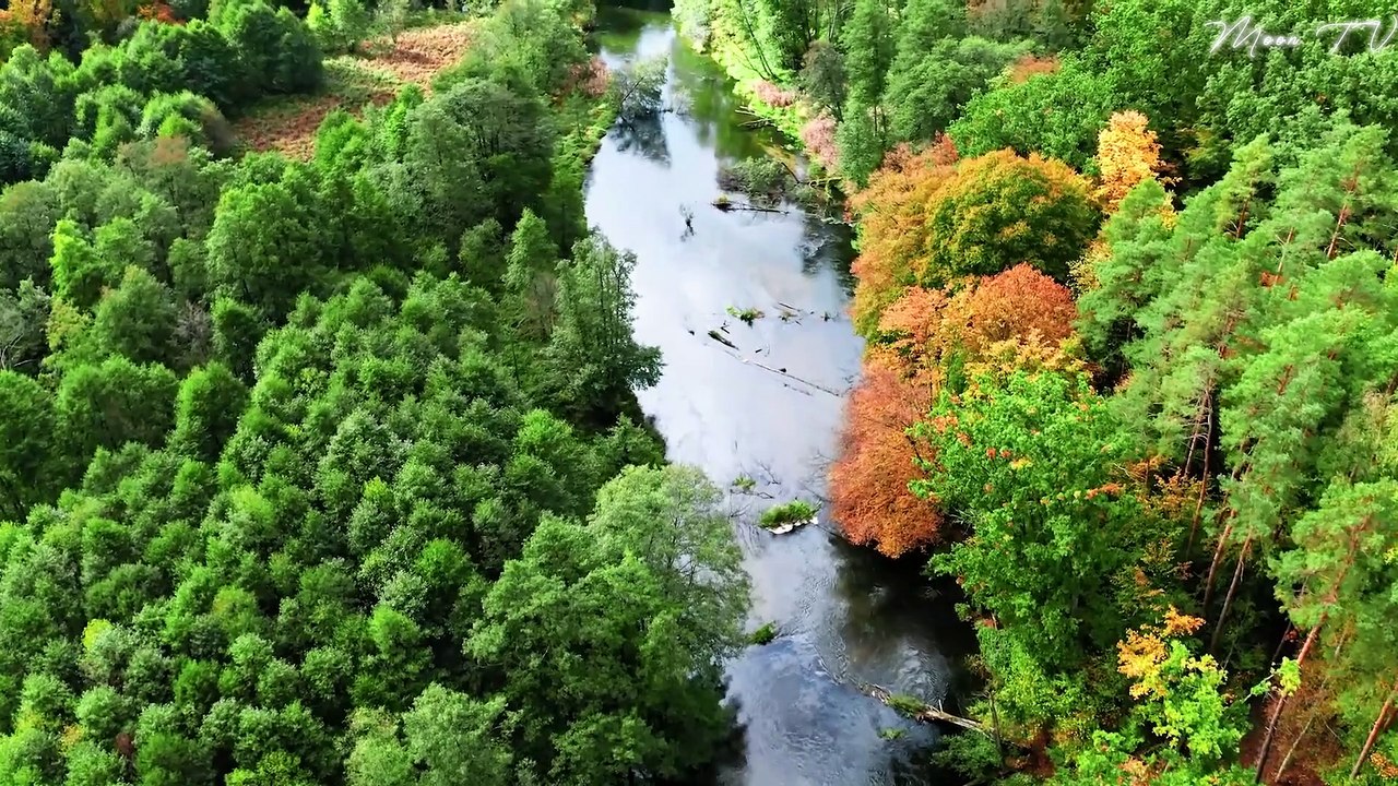 Healing Music For Inner Peace And Joy