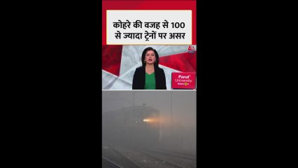 रेल और विमान सेवा पर कोहरे का असर, 100 से ज्यादा ट्रेनें लेट