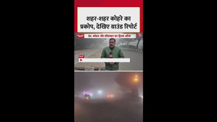 शहर-शहर कोहरे की मार, देखें रिपोर्ट