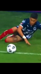 ​🍯 Pure Silk! The Art of First Touch That Defies Logic and Gravity!