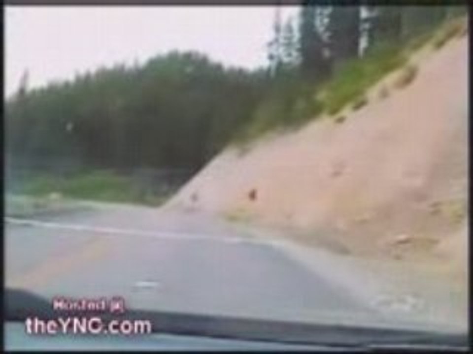 U.S.A. : Course poursuite et fusillade