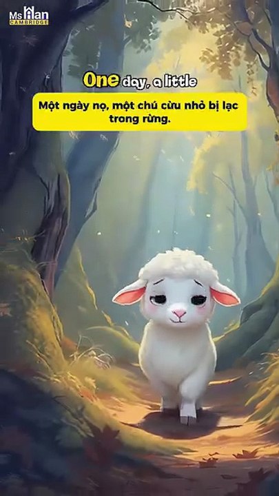 Baby  sheep🐑