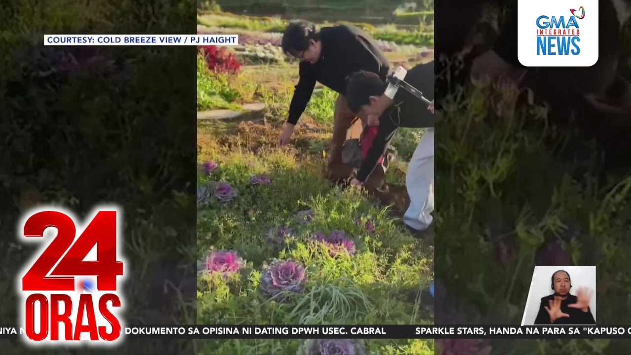 Ilang pananim sa Benguet, balot pa rin ng yelo; 9.6°C, naitala sa La Trinidad kaninang umaga | 24 Oras