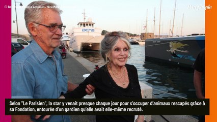 Dans l’autre propriété de Brigitte Bardot, à quelques minutes de La Madrague, le sort de ses animaux reste incertain