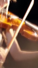 May We Never Meet Again Capitulo Completo Parte 1