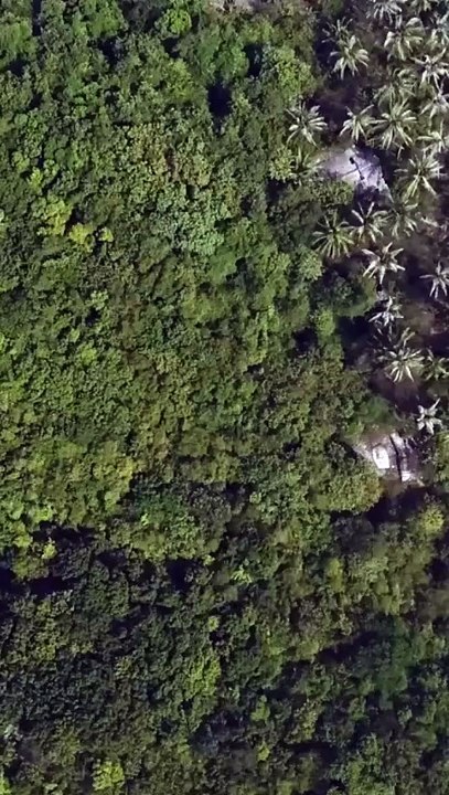 Here We GO !!!!! - Musique AMIS