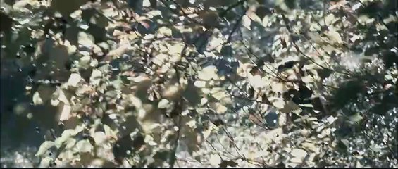 (I Spit on Your Grave) (Doce Vingança) 2010 - Uma escritora que é brutalizada durante sua aposentadoria na cabana procura vingança contra seus agressores, que a consideraram morta.