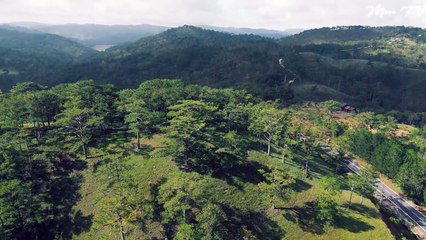 Zen Meditation Music For Inner Peace And Harmony