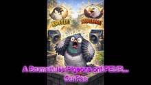 Brumath Les Pigeons ont....PAS PEUR