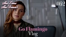 Go Flamingo Vlog #62