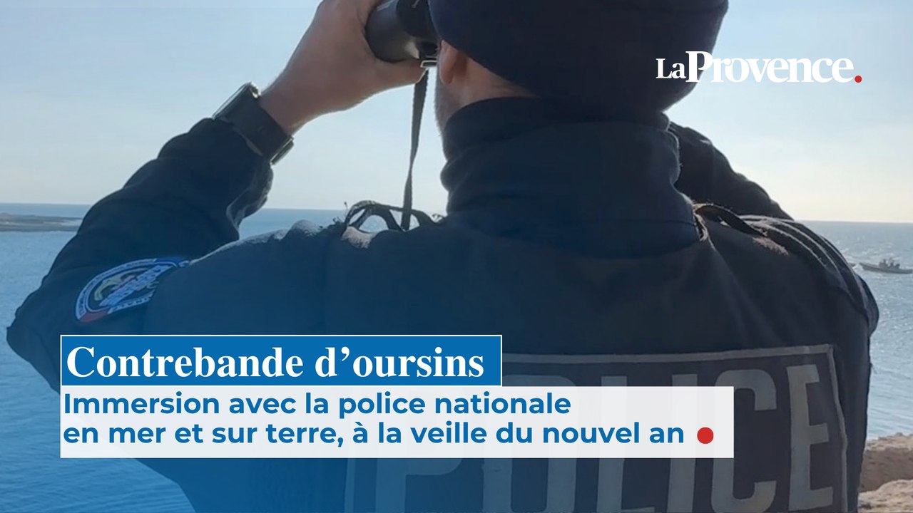 Contrebande d'oursins : immersion avec la police nationale en mer, à la veille  du nouvel an