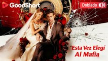 (Doblado) Esta Vez Elegí Al Mafia