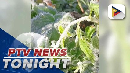 Frost covers crops in Atok, Benguet anew; lowest temp recorded at 7°C