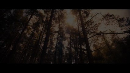 'Avengers: Doomsday' - Thor