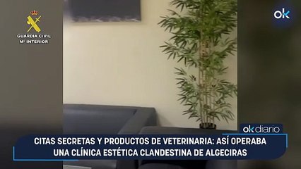 Citas secretas y productos de veterinaria: así operaba una clínica estética clandestina de Algeciras