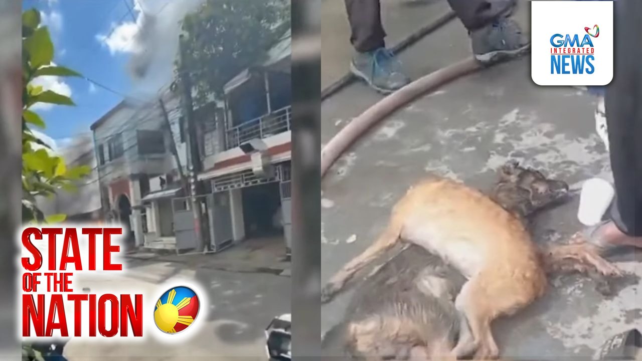 4 na bahay at kainan, nasunog dahil sa tumagas na LPG; Residente sugatan, 2 aso nasawi | SONA