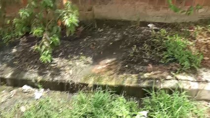 Problemas de Esgoto em Indianópolis - A Situação Insustentável na Rua Dr. José Ramos de Vasconcelos e a Necessidade de Intervenção Urgente