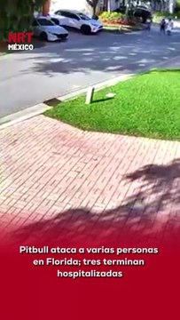 🚨🐕 Ataqu3 alarmante en Florida. Tres personas tuvieron que ser trasladadas a un hospital luego de ser at@cadas por un perro de raza pitbull, según reportes de autoridades locales.