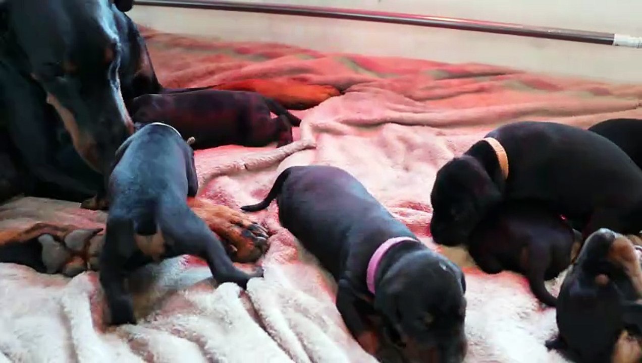 Portee A 2025 30 Decembre