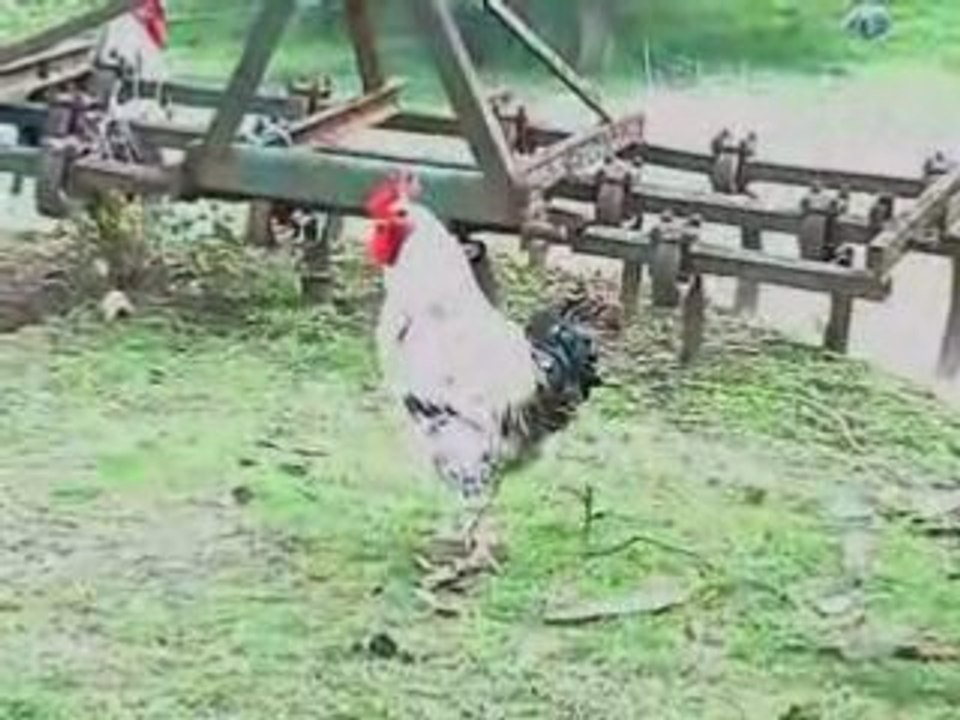 Ferme v2