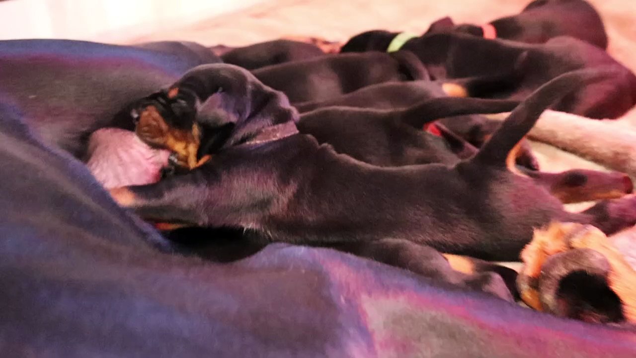 Portee A 2025 29 Decembre