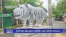 Patung Macan di Kediri Jadi Obyek Wisata Dadakan, Pengunjung Rela Tempuh Perjalanan 3 Jam