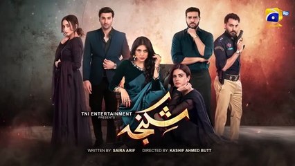 Shikanja Episode 49 - [Eng Sub] - Azekah Daniel - Asad Siddiqui - Washma Fatima - Furqan Qureshi - 30th December 2025 - HAR PAL GEO
