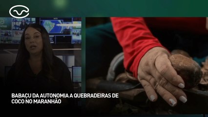 Babaçu da autonomia a quebradeiras de coco no Maranhão