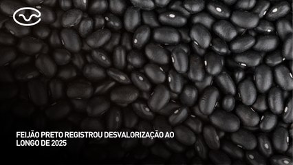 Feijão preto registrou desvalorização ao longo de 2025