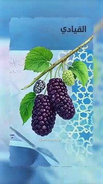 كل ما تريد معرفته عن العملة السورية الجديدة