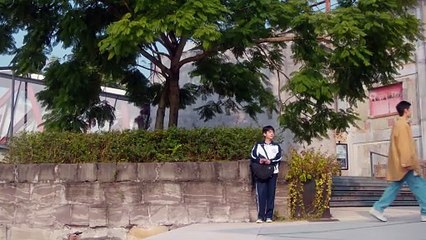 A Oliveira Branca 15