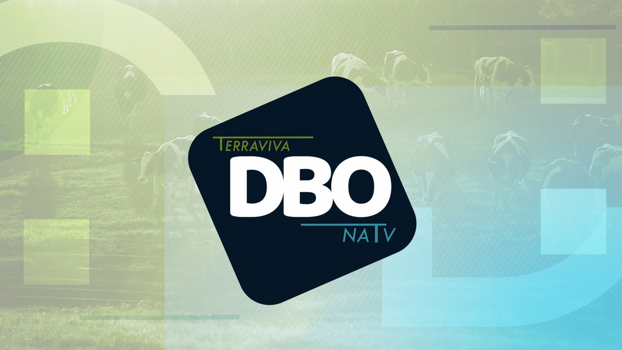 DBO NA TV | 31/12/2025