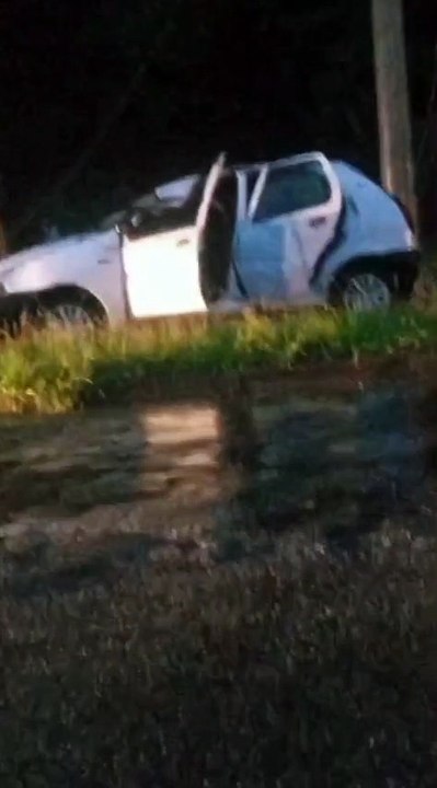 Árvore cai em cima de carro com família dentro em Blumenau