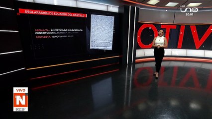 DECLARACIÓN EDUARDO DEL CASTILLO