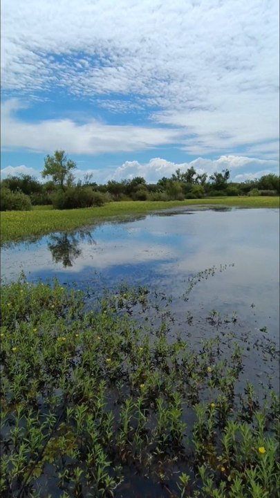 Pesca de Tarariras en Laguna de 20 Metros de Profundidad 🎣👌