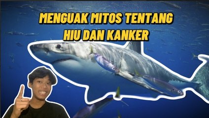 Menguak Fakta di Balik Klaim Hiu Tidak Bisa Terkena Kanker
