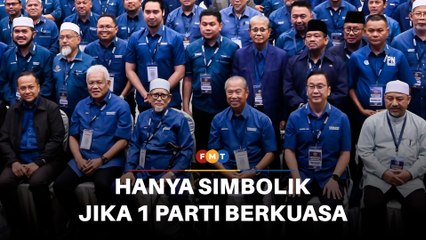 Majlis penasihat PN hanya simbolik jika 1 parti berkuasa