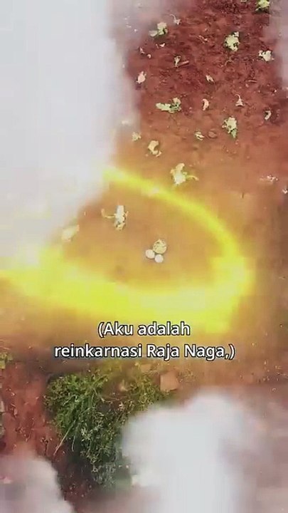 Bocah imut reinkarnasi seorang raja