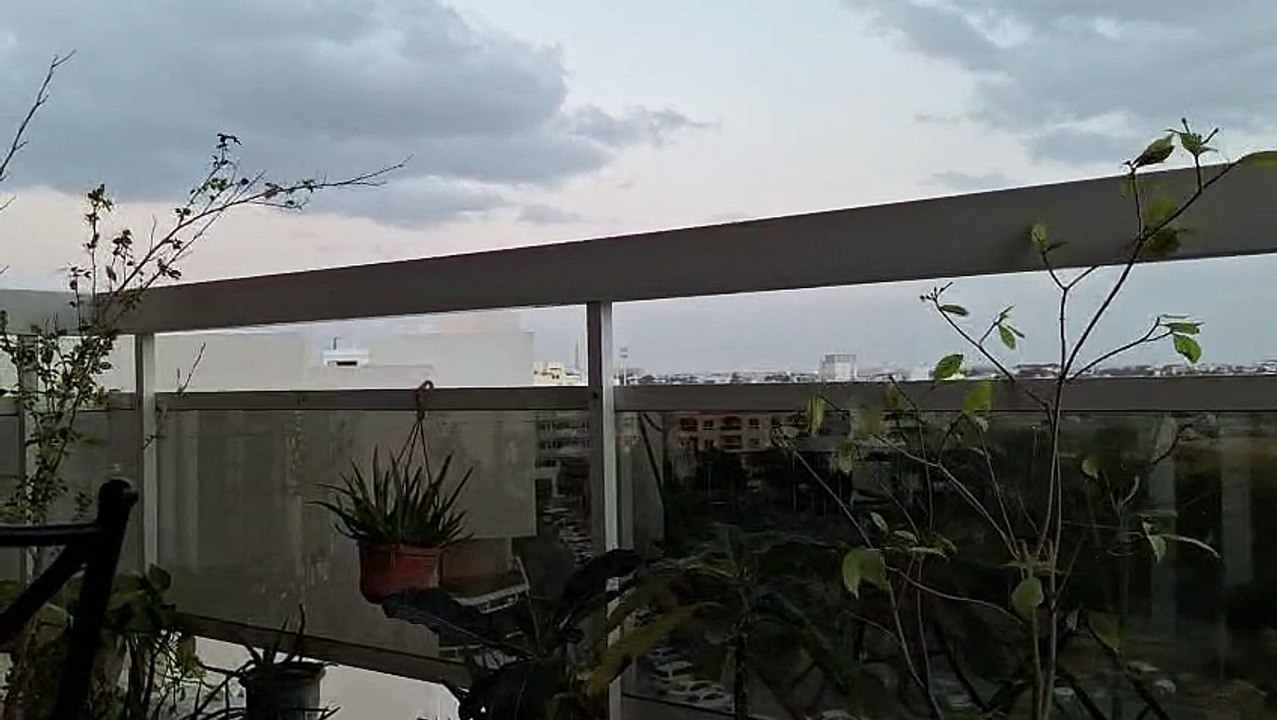 Windy day - December 31