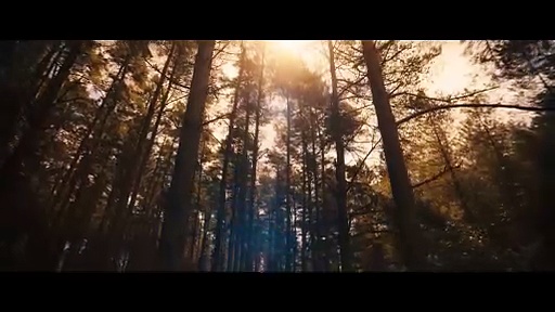 Avengers Doomsday Movie – Thor