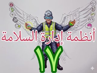 أنظمة إدارة السلامة ١٧